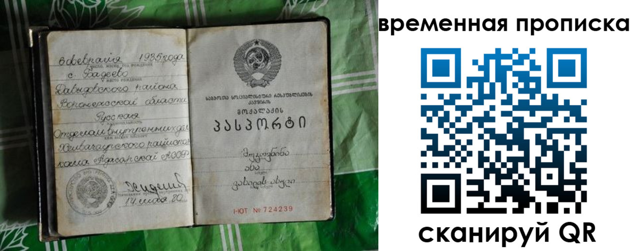 прописка в Павловске